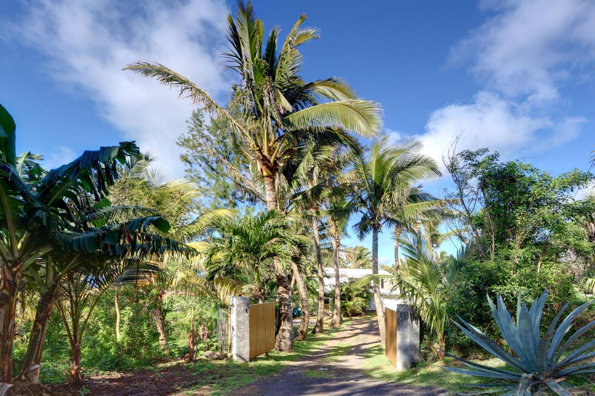 La Case Coco - Maison Climatisee A Saint-Joseph Eksteriør billede
